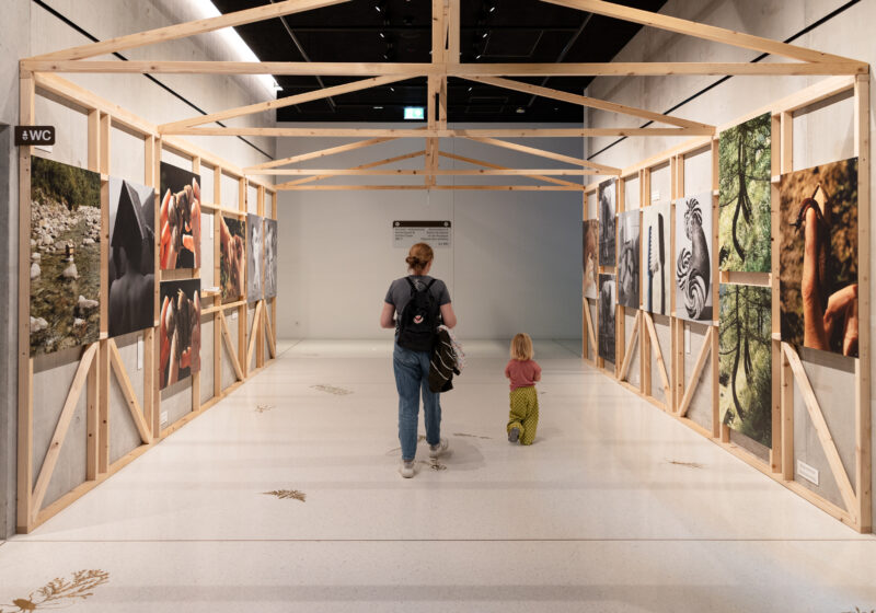 EXPOSITIONS À LA MEA