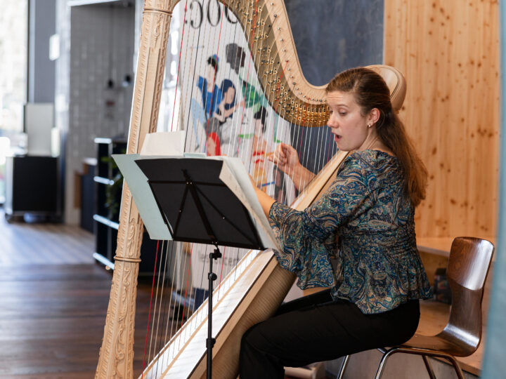 CONTE MUSICAL À LA HARPE